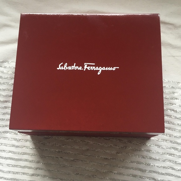 NEW Salvatore Ferragamo Women\'s Watch main image 6